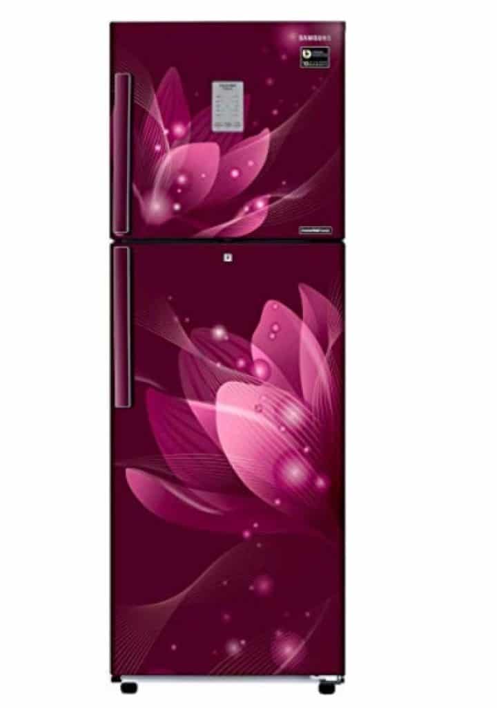 Samsung 253L 3 Star Frost Free Double Door Refrigerator 