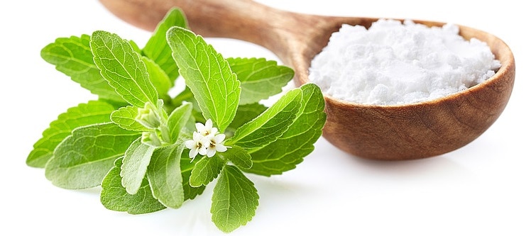 Stevia