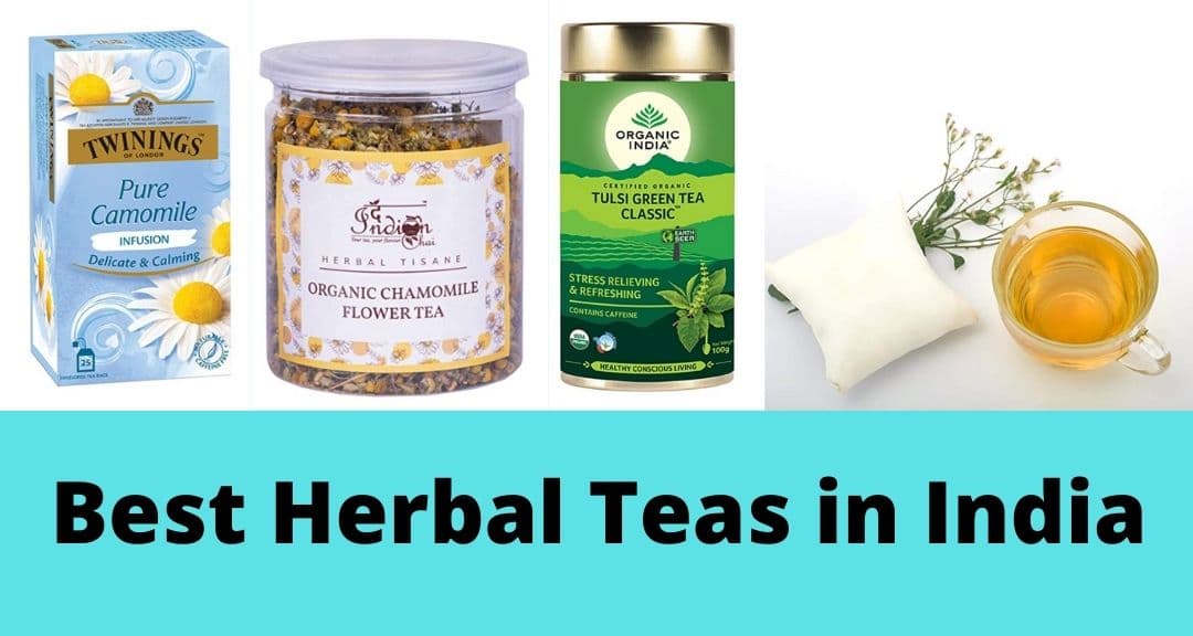 Best Herbal Teas In India In 2024 To Refresh Your Senses